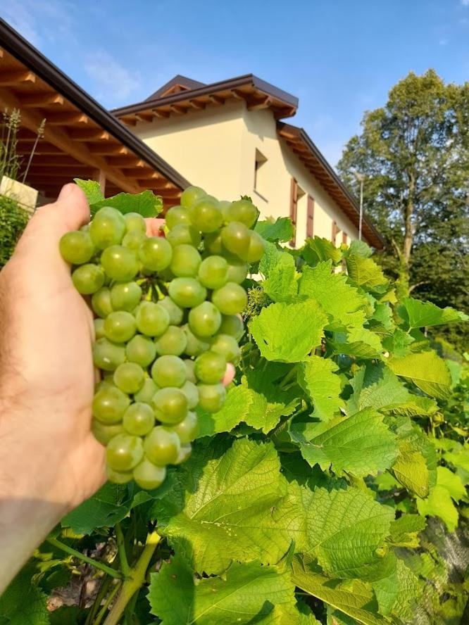 Cascina Teresina Villa Veleso Luaran gambar