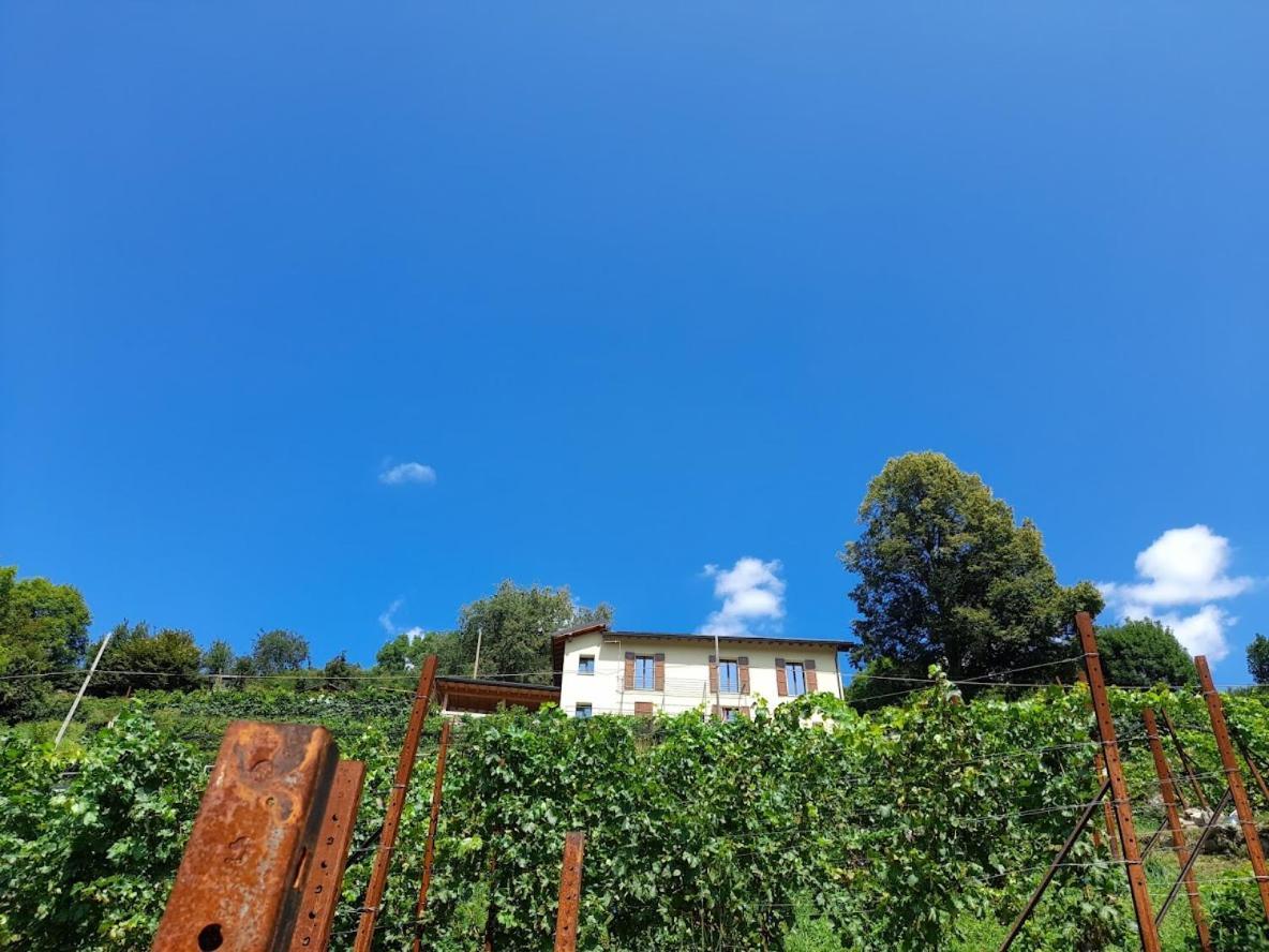 Cascina Teresina Villa Veleso Luaran gambar