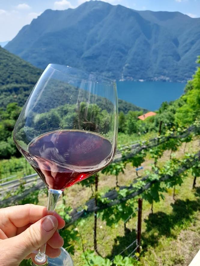 Cascina Teresina Villa Veleso Luaran gambar